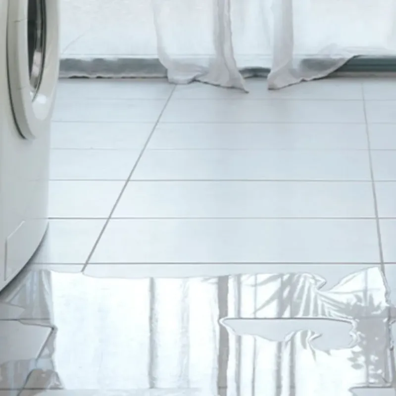 Appliance Leak Cleanup in Washington, IN