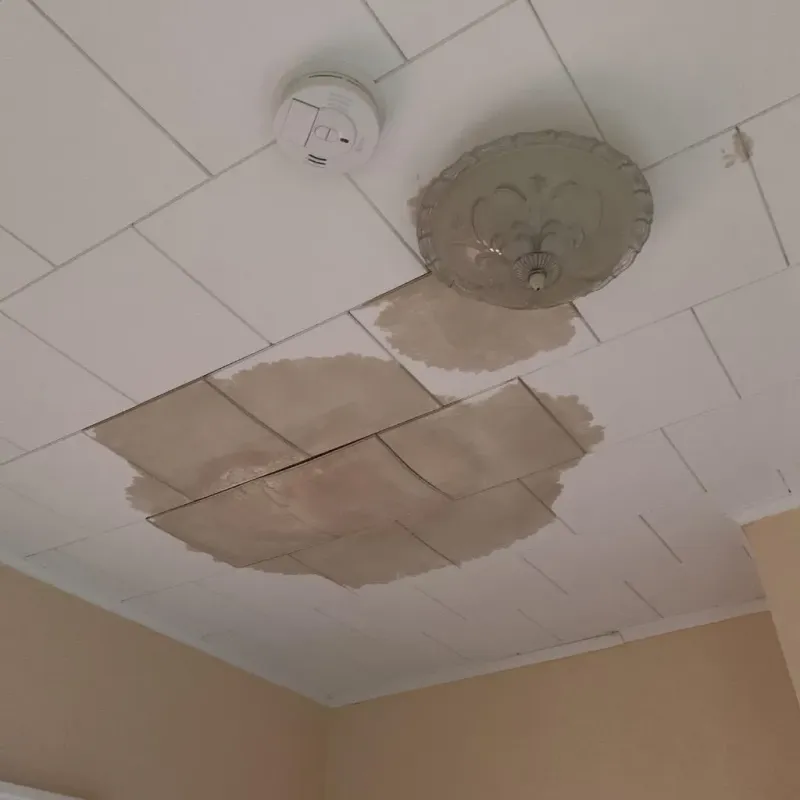 Ceiling Water Damage Repair in Washington, IN
