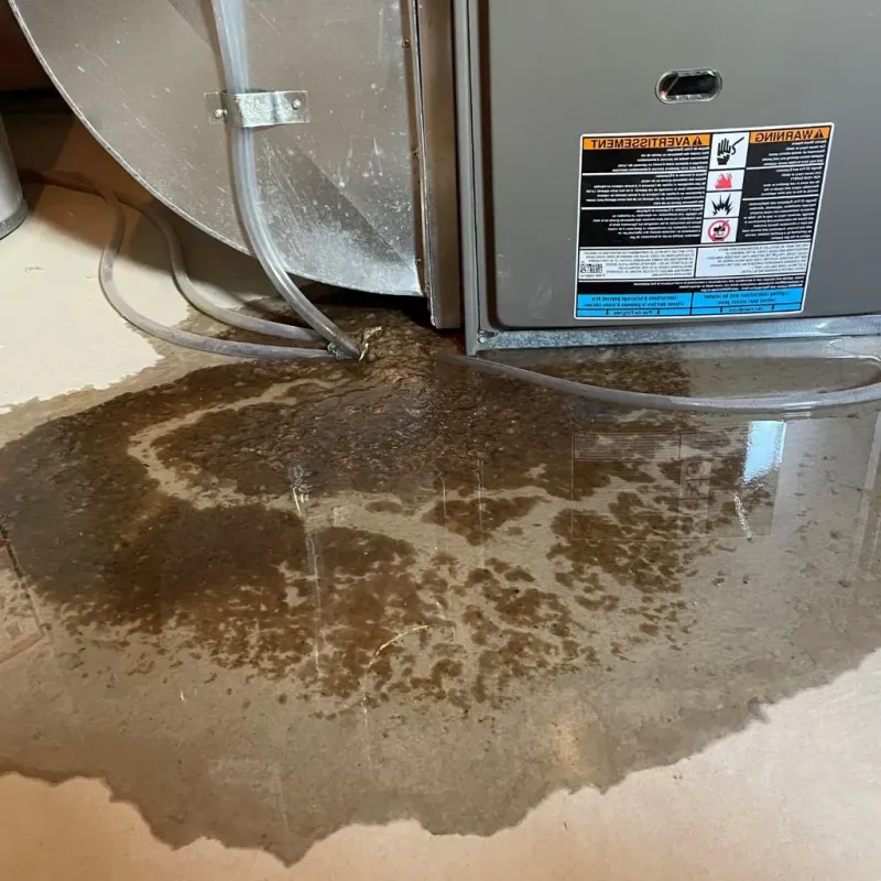 Pipe Burst and Leak Restoration in Washington, IN