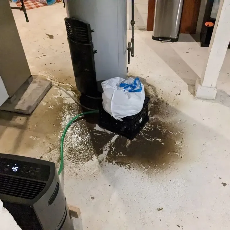 Sewage Backup Cleanup Service in Washington, IN